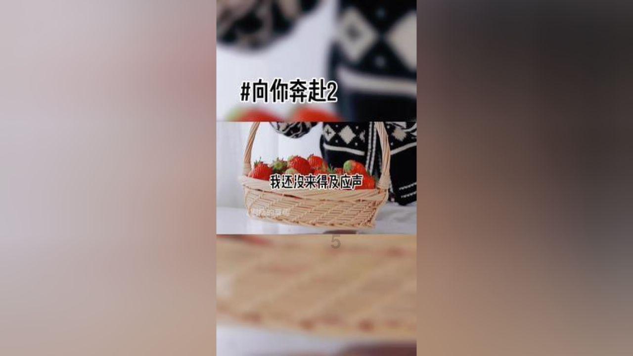 全民剧本大师内置菜单