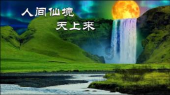 动物帮帮忙保卫家园