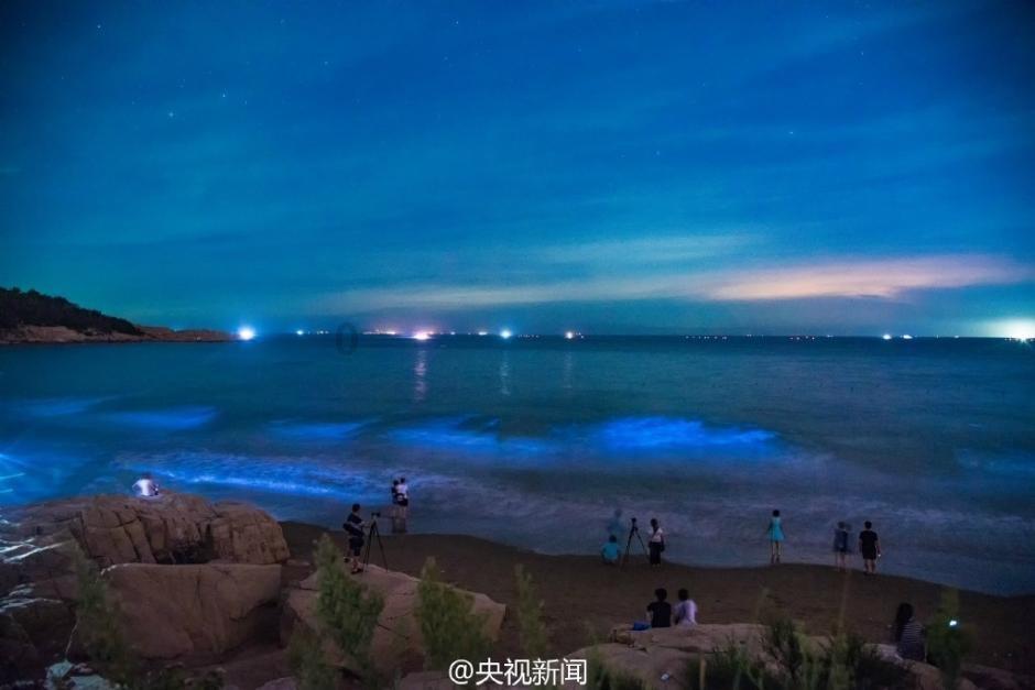 小猫钓鱼正版下载中文版
