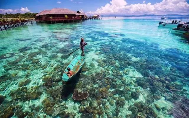 探索抽烟一天抽一根有危害吗?,开启知识星球的奇妙旅程