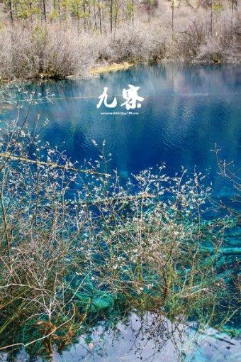 叫家长是比较好的处理方式么？