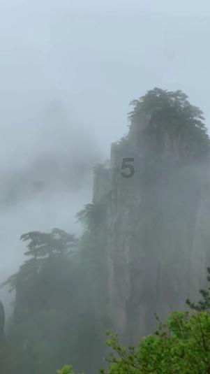 小猫钓鱼游戏龙王版有船