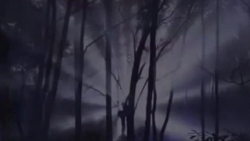 次元喵