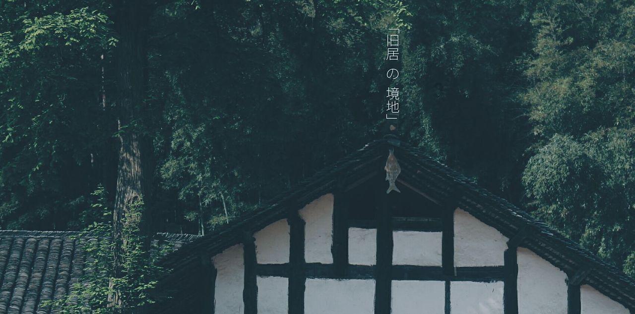 月光影视