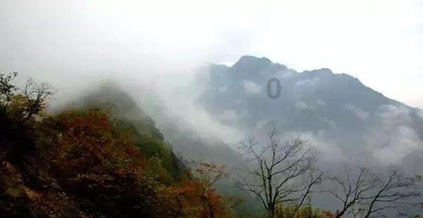智能手机哪几种品牌好-最专业的问答类网站