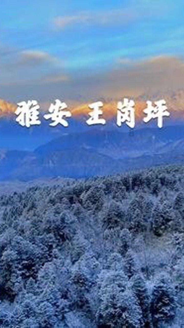 召唤神龙万宁版祖龙