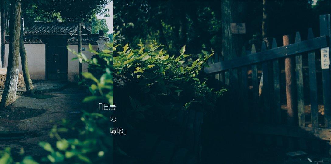蓝狐视频