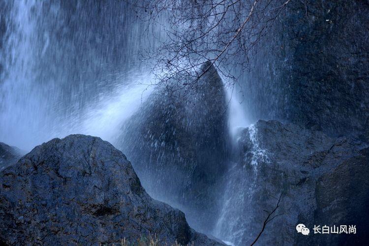虫虫助手下载