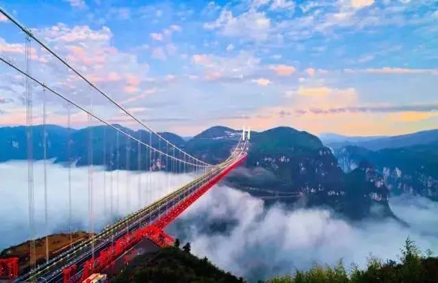 虫虫助手下载