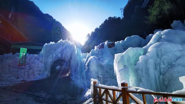 虫虫助手下载