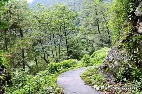 燃烧吧大脑免广告最新版