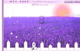 春雨直播app