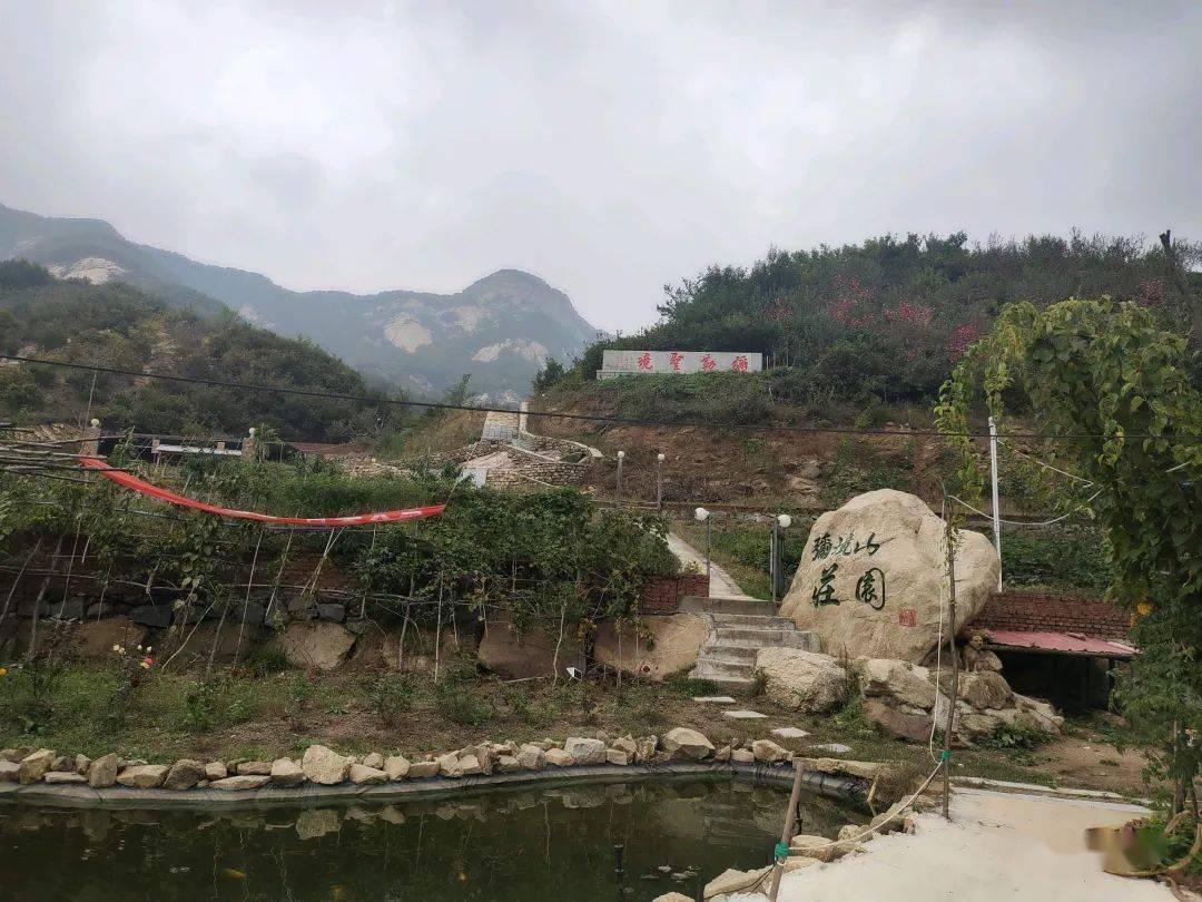 动物帮帮忙保卫家园