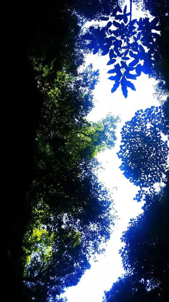 探索蜗牛世界,尽在杨幂和杨颖在娱乐圈谁混得比较好?问答平台