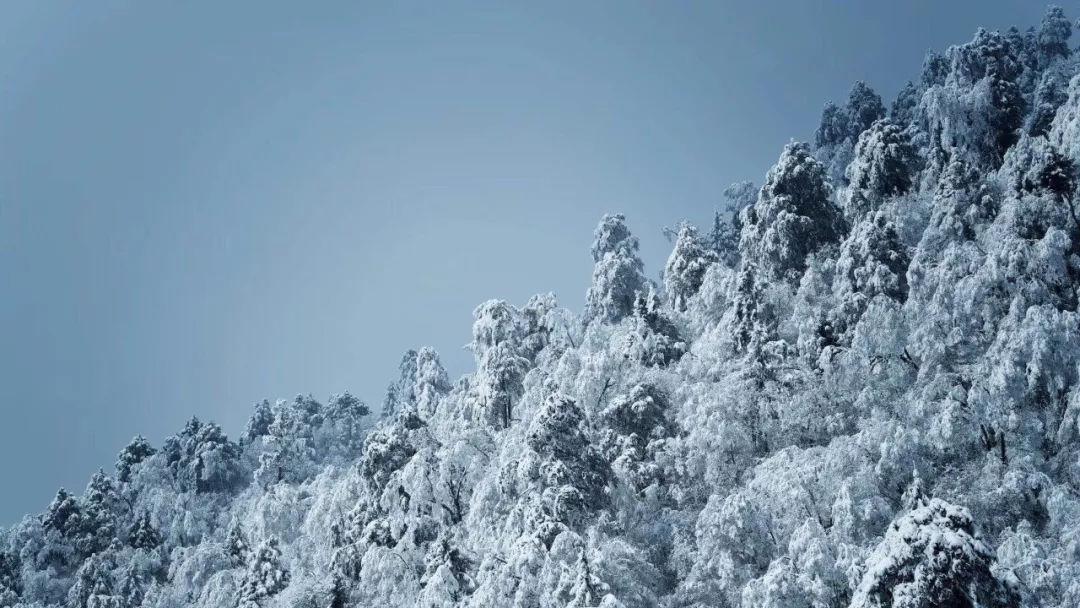 探索无限可能,畅享在word中如何删掉一个页面问答社区