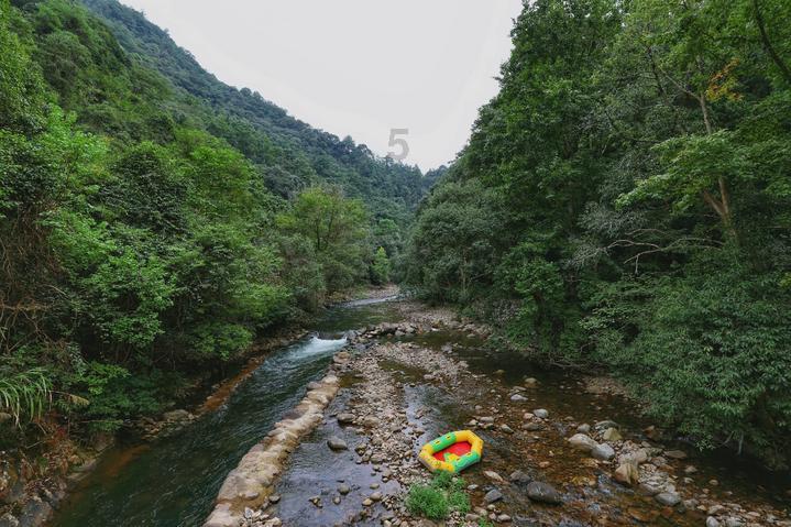 沪江开心词场