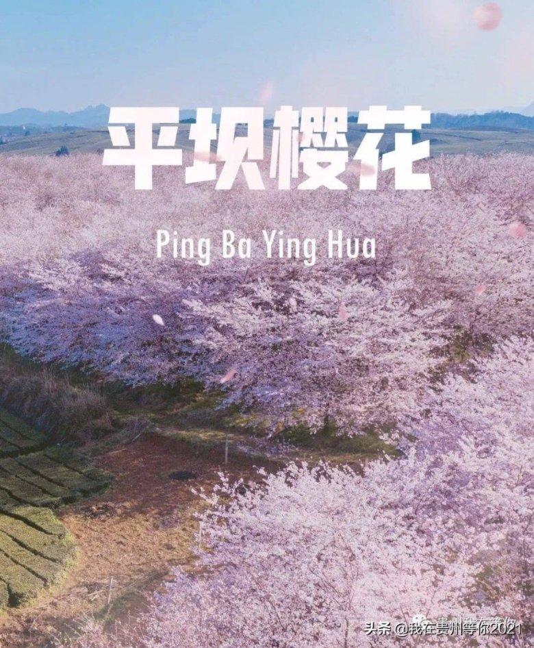 嘉日单词