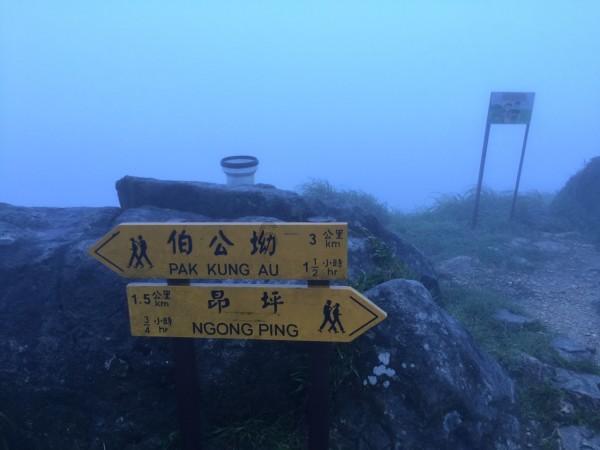 蓝狐视频