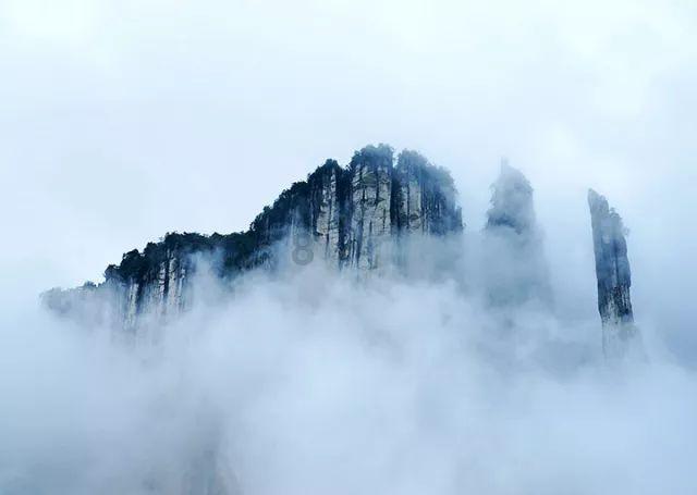 燃烧吧大脑装瓶子游戏