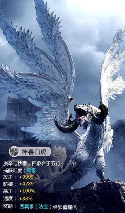 怎么提高直播间人气?-专注问答,解决你的问题