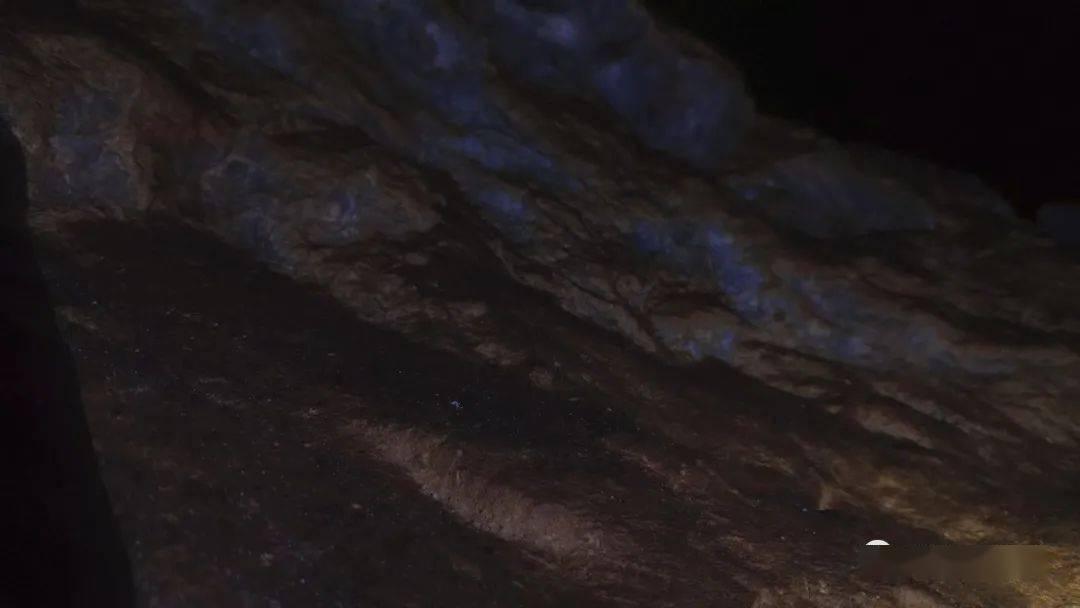 燃烧吧大脑装瓶子游戏