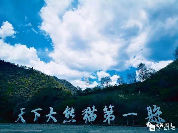 小猫钓鱼正版下载中文版
