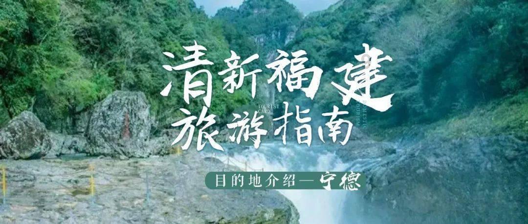 春雨直播app