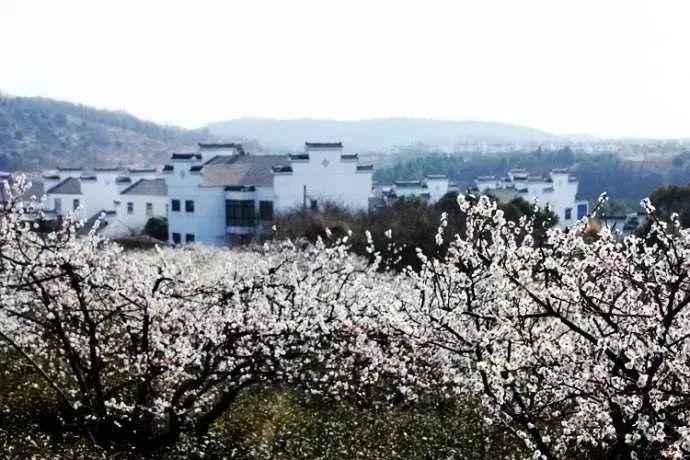 沪江开心词场
