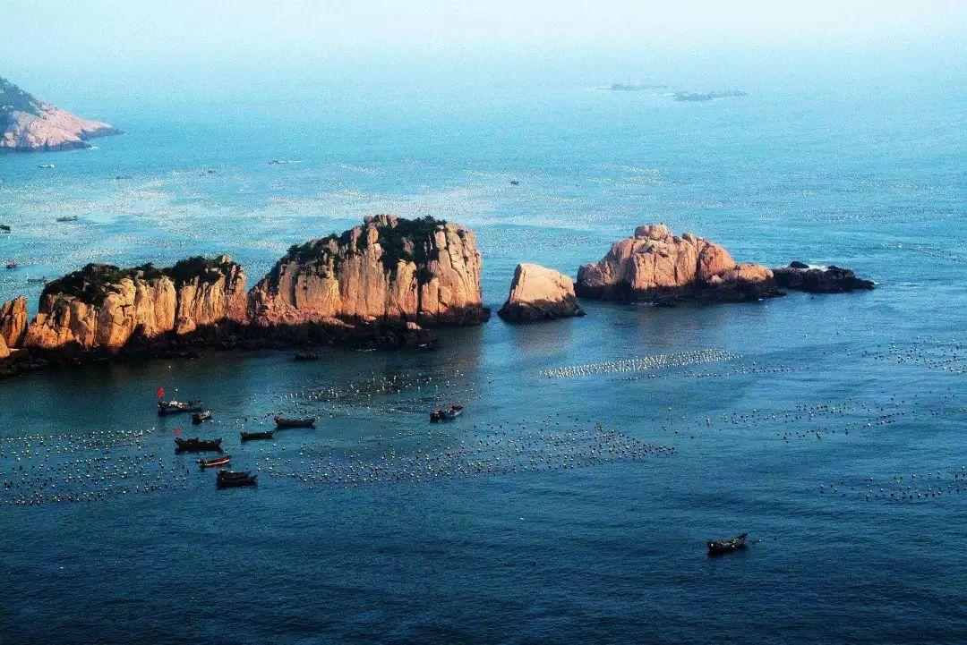 沪江开心词场