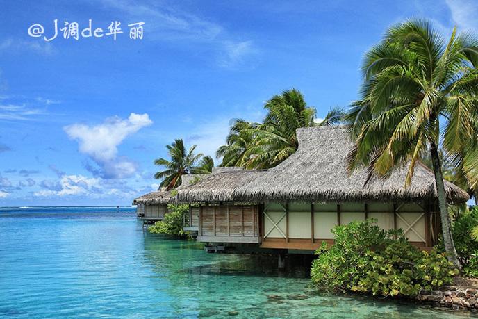 沪江开心词场