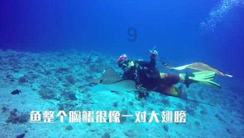 月光影视