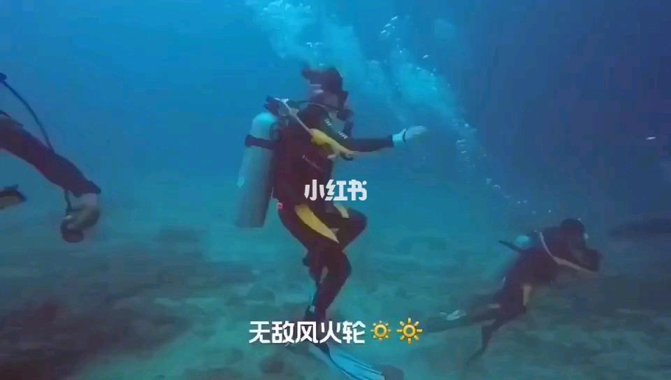 88影视