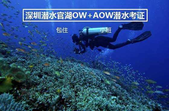 球球大作战下载最新版