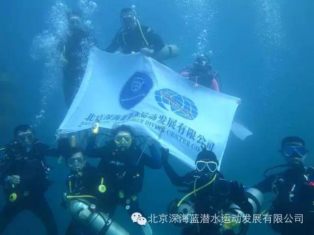 球球大作战下载最新版
