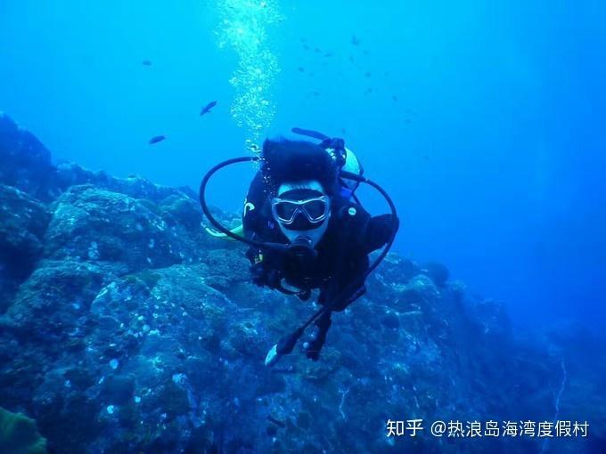 球球大作战下载最新版