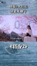 创作猫