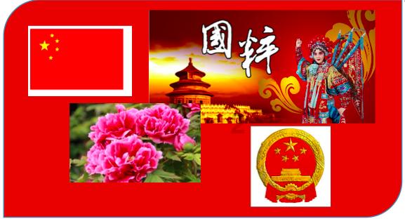 88影视