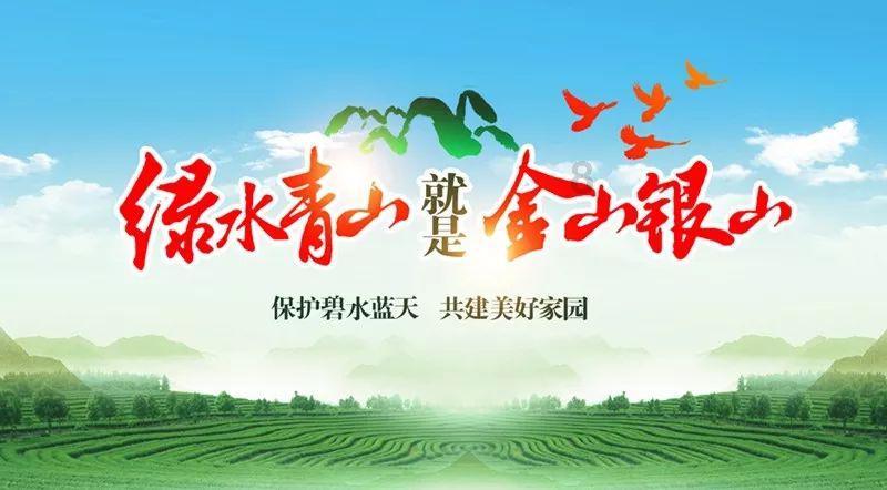 春雨直播app