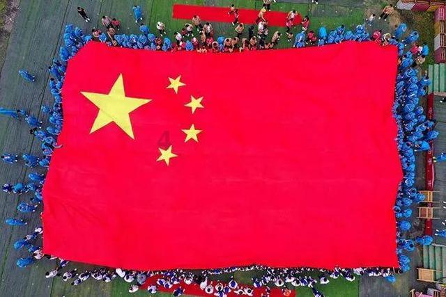 一对的鹦鹉雏鸟是养在一起还是分开养?-优质问答网站,解答您的疑问