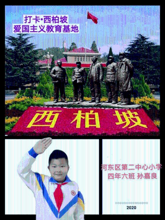 春雨直播app