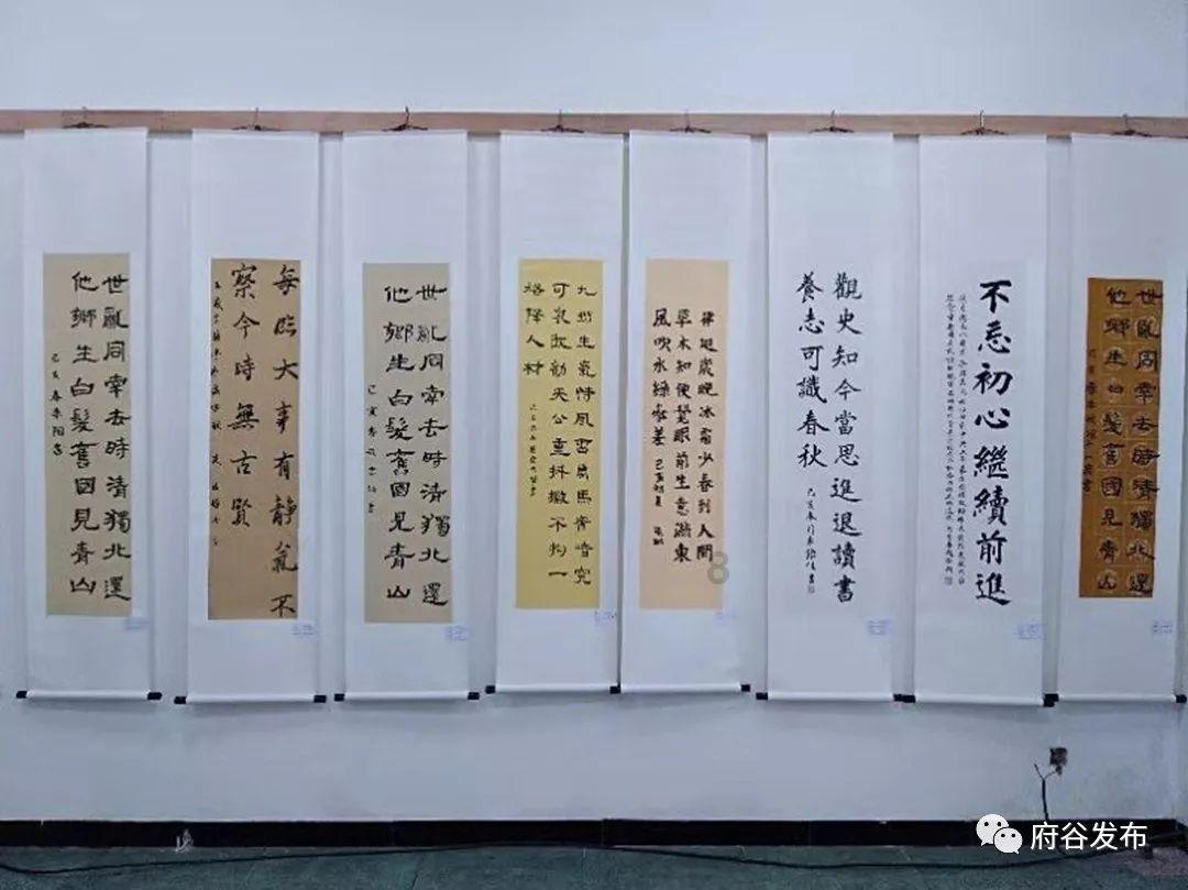 创作猫