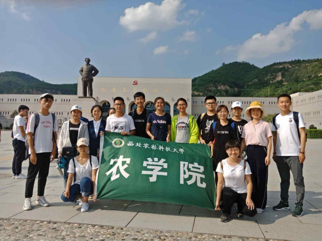 召唤神龙万宁版祖龙