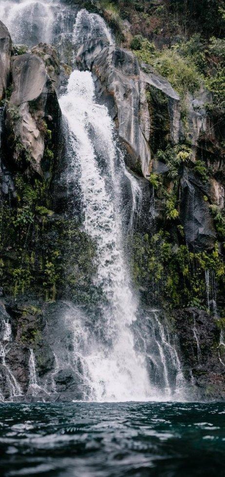 虫虫助手下载