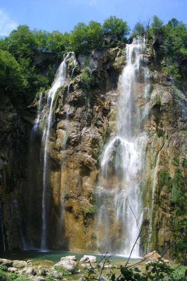 虫虫助手下载