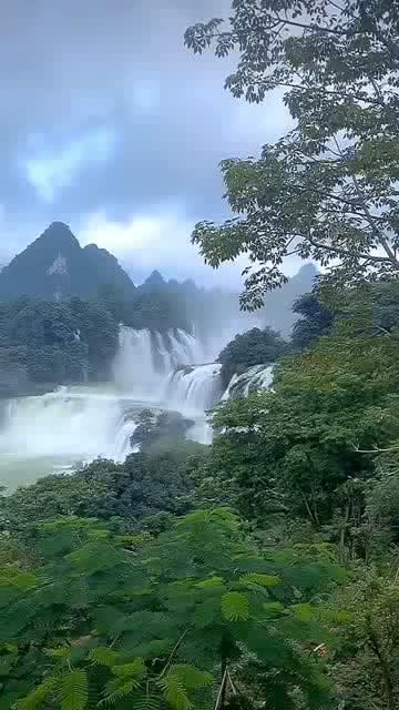 小猫钓鱼游戏龙王版有船