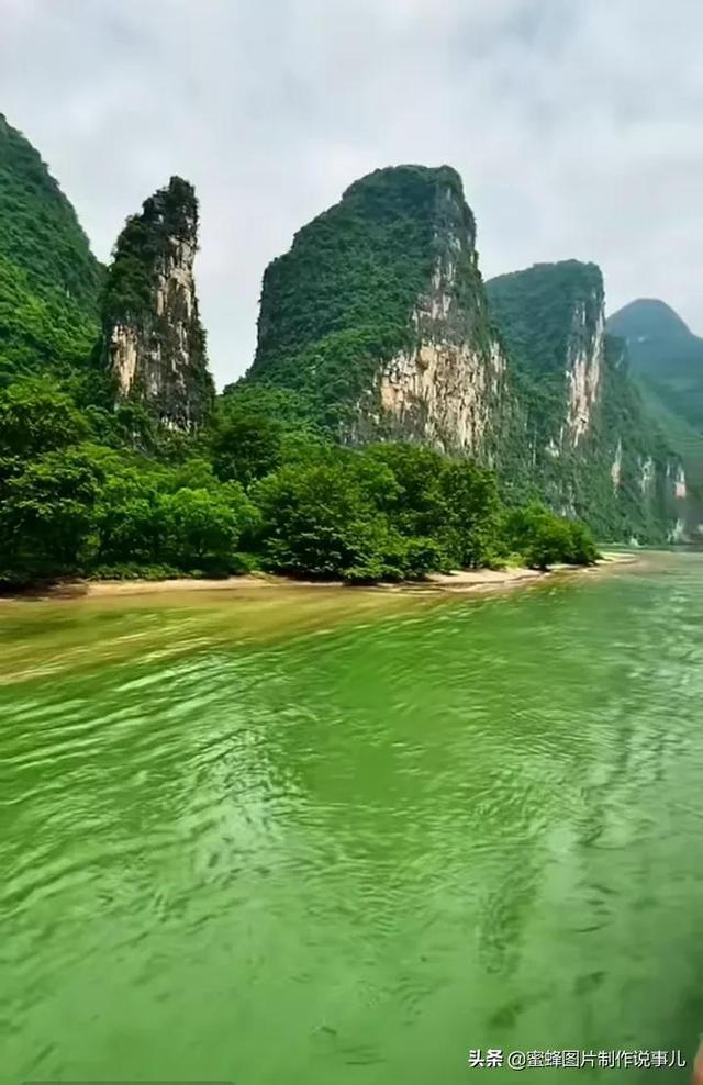 虫虫助手下载