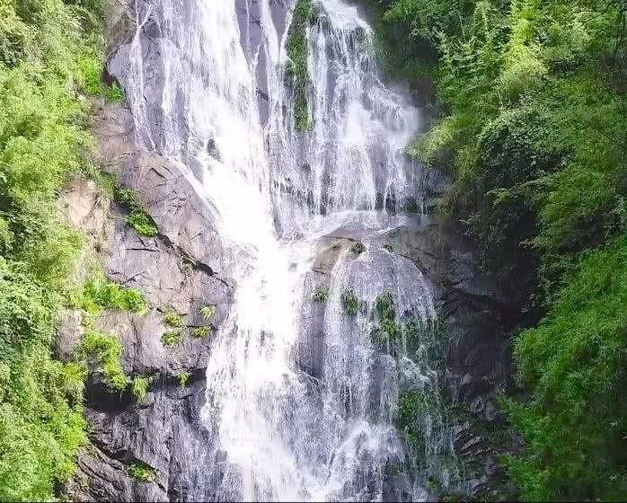 小猫钓鱼游戏龙王版有船