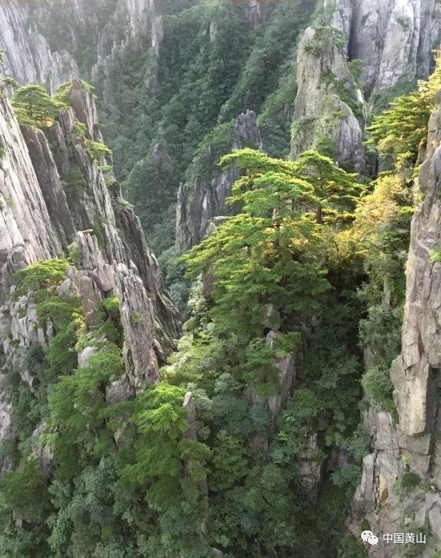 全民剧本大师内置菜单