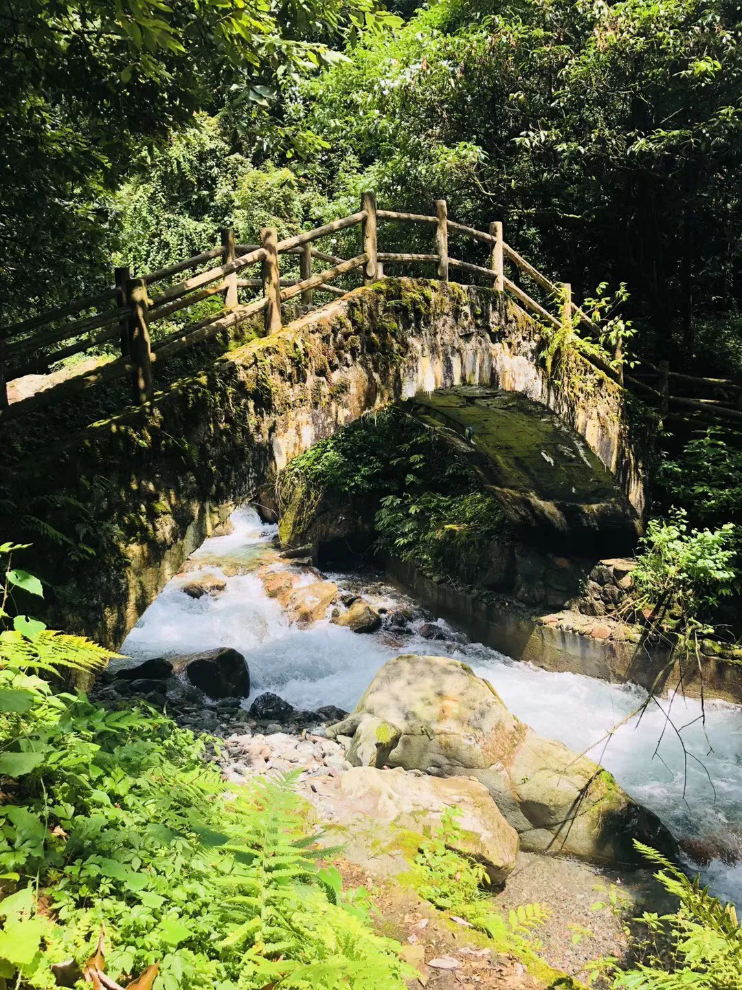 月光影视