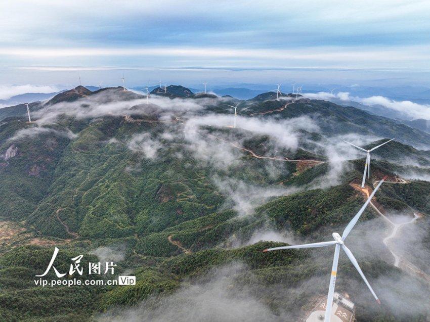沪江开心词场